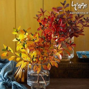 دکور پاییزی خانه با عناصر طبیعی (۱)