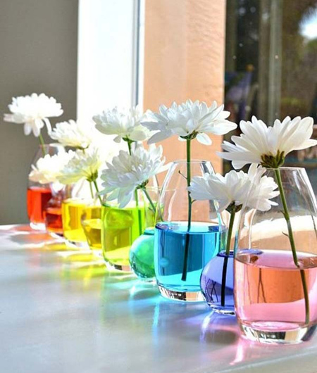 دکوراسیون رنگی،راهکارهای دکوراسیون رنگی رنگ های دکوراسیون,افزودن رنگ به دکوراسیون